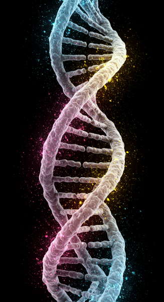 Science