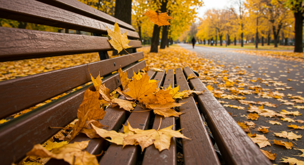 Golden autumn leaves falling on a park bench #4