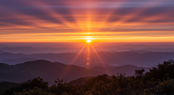 The rising sun #1