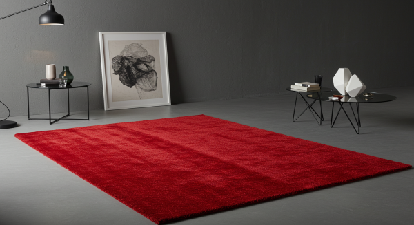 A new small red carpet in a living room #4