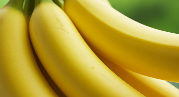 Bunches of yellow bananas #2